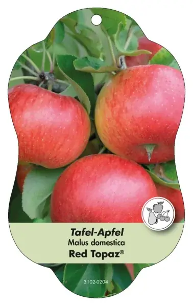 Nytt lägre pris | Bild Hängeetiketten Comfort Malus domestica Apfel Red Topaz®