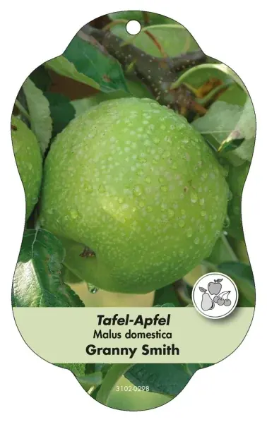 Image Étiquettes à suspendre Comfort Malus domestica Pomme de table Granny Smith | Endast idag