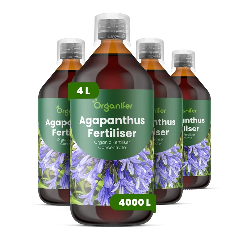 Kanonerbjudande - Agapanthus Flytande Gödsel - Set 4 x 1 Liter