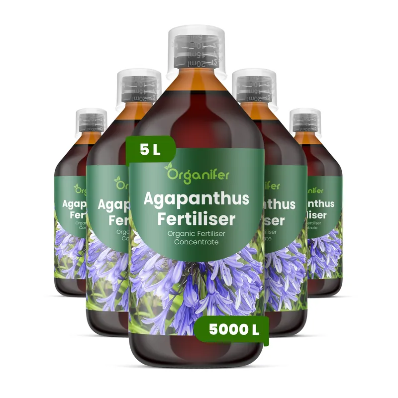 Nyhet i webbutiken - Agapanthus Flytande Gödsel - Set 5 x 1 Liter