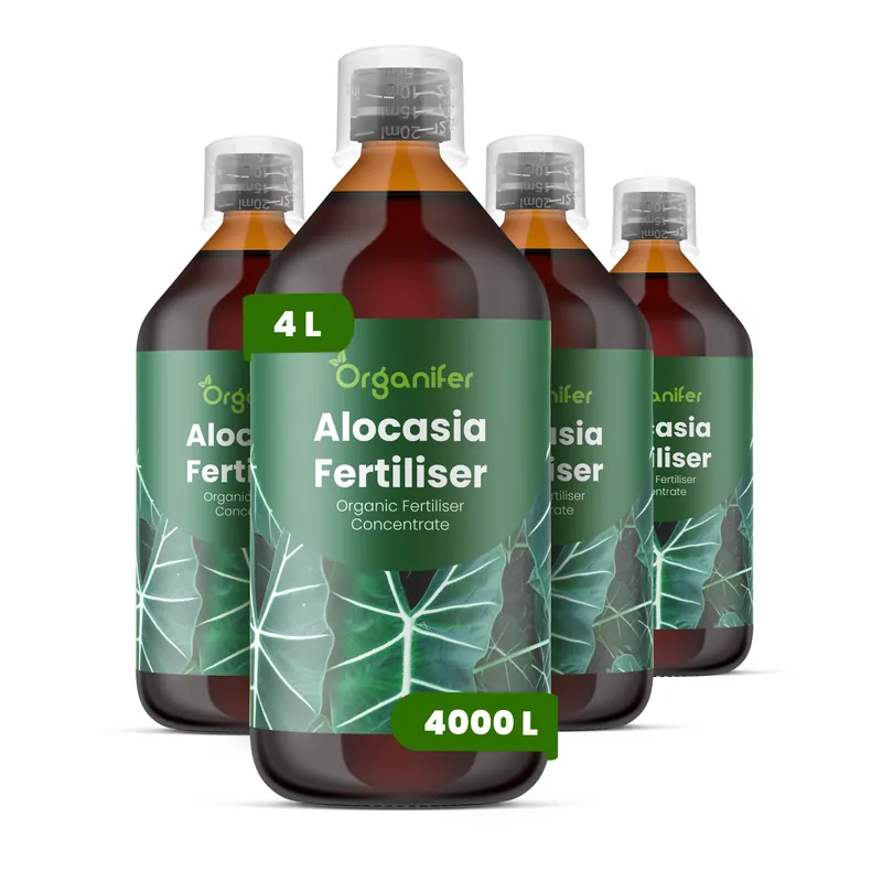 Hög kvalitet - Flytande gödsel för Alocasia - Set 4x-1 liter