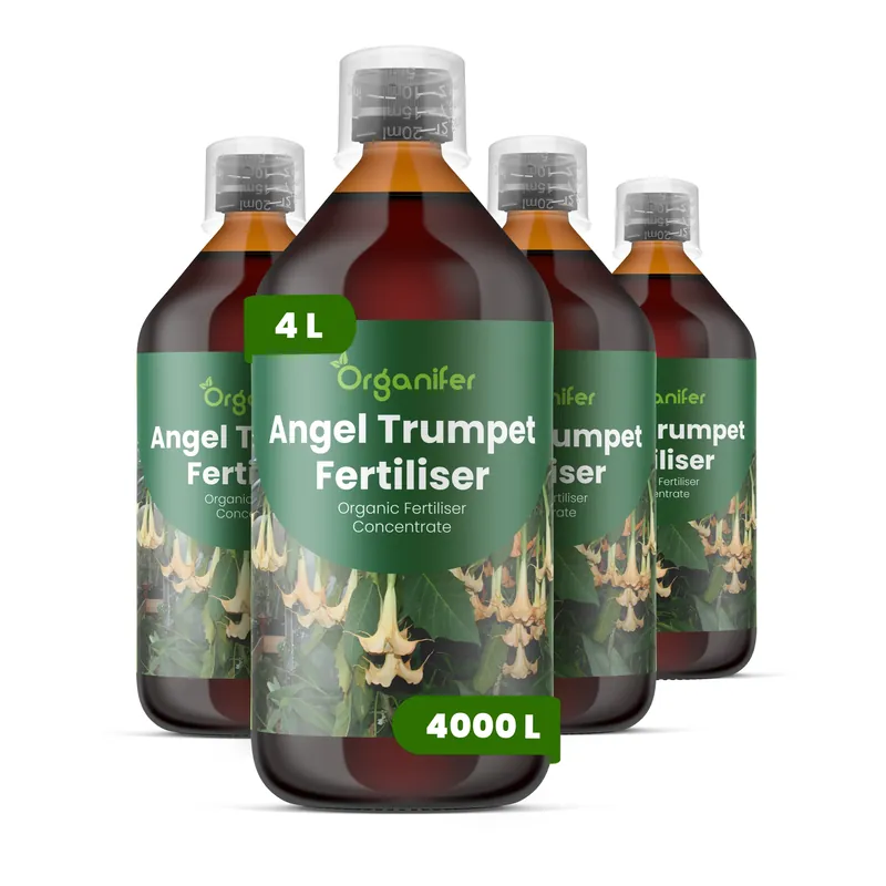 Handla online - Änglatrumpet Flytande Gödsel - Set 4x1 Liter