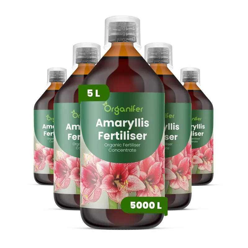 Amaryllis flytande gödsel - Set med 5 x 1 liter | Spara nu