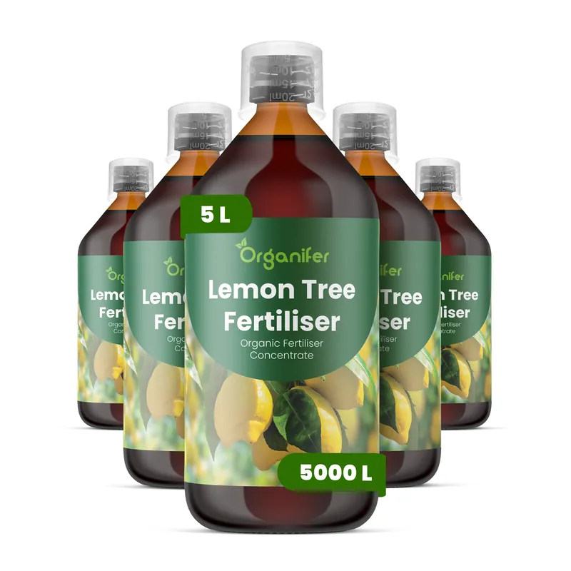 Endast ett fåtal kvar - Citronträd Flytande gödsel - Set 5×1 liter