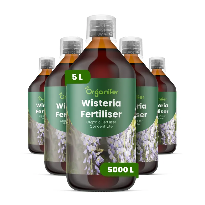 Flytande gödsel för blåregn - Set 5x1 liter - Populär