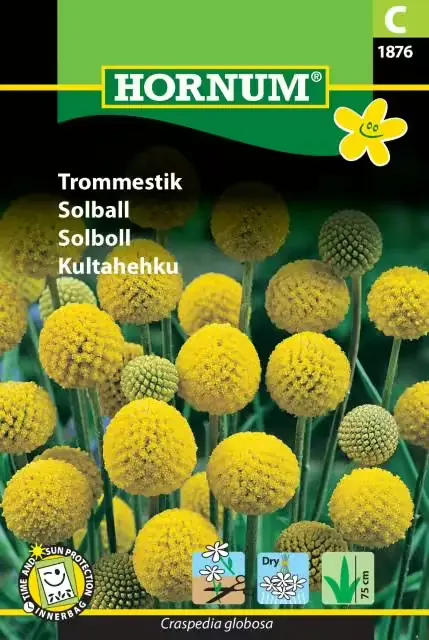 Solboll - Utförsäljning
